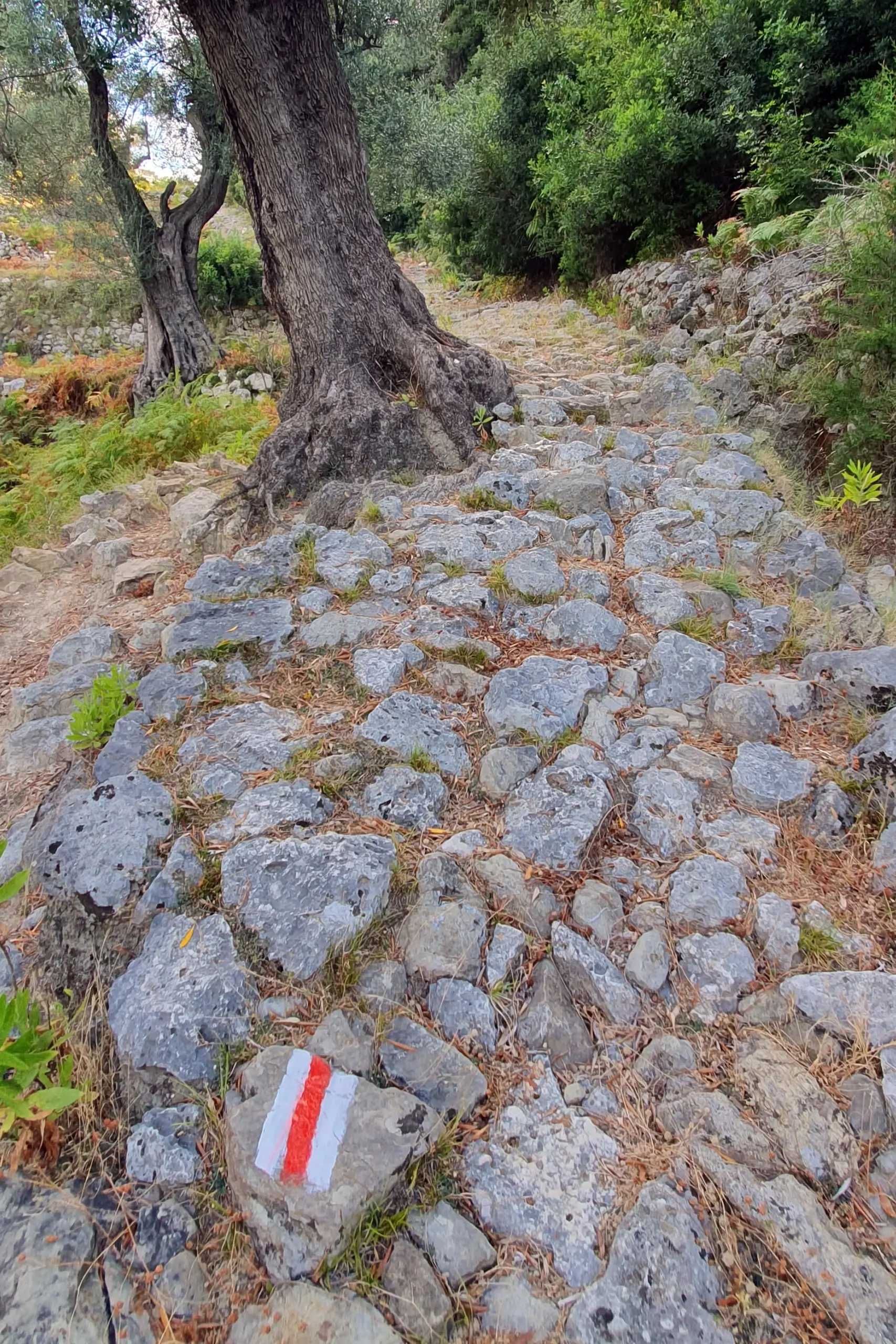 Hiking down the castle town of Himare.